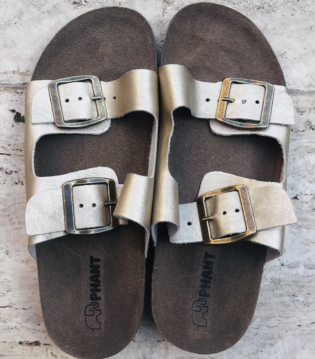 SAV-MET-OUR-37